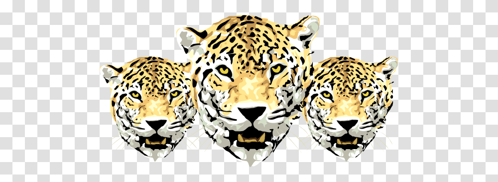 Leopard Heads Clip Art, Mammal, Animal, Wildlife, Panther Transparent Png