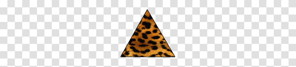 Leopard, Triangle, Lighting, Arrowhead, Panther Transparent Png