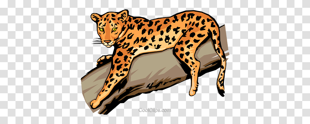 Leopard Vecteurs De Stock Et Clip Art Vectoriel, Cheetah, Wildlife, Mammal, Animal Transparent Png