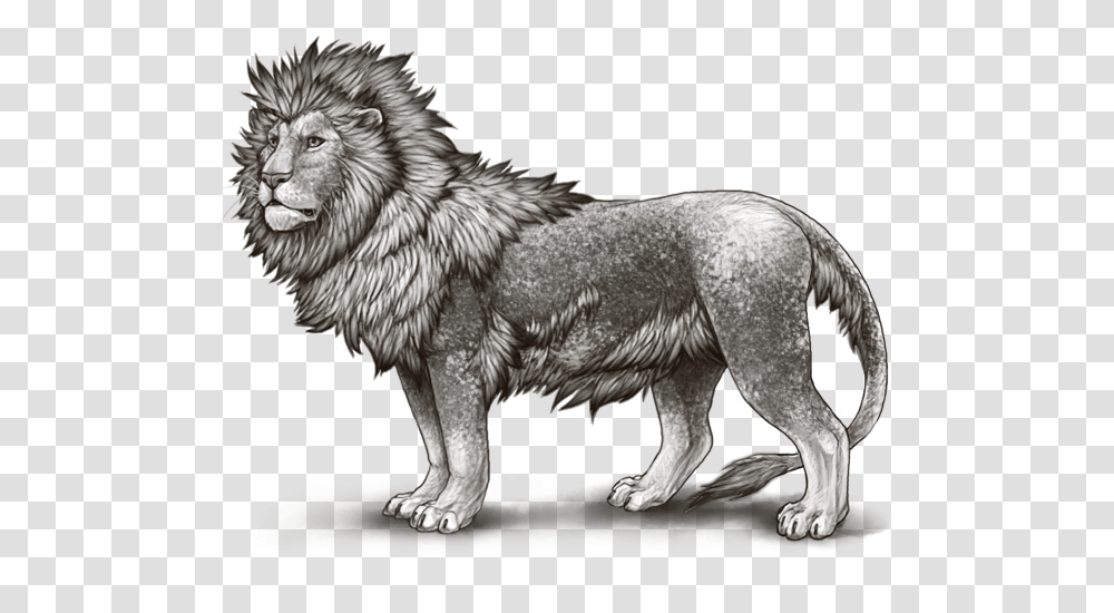 Leopon, Wolf, Mammal, Animal, Dog Transparent Png