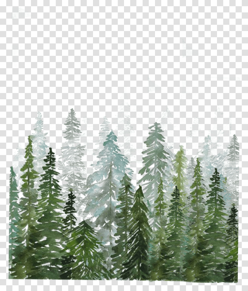Les Watercolor Pine Tree Forest, Plant, Flower, Blossom, Fir Transparent Png