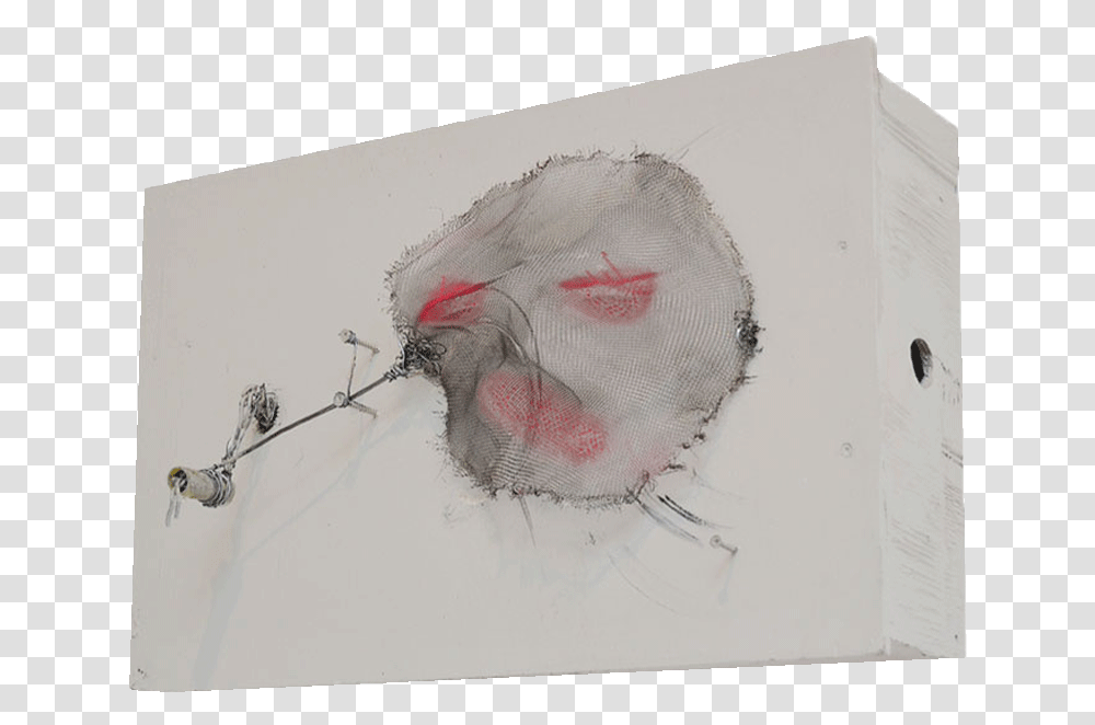 Leslie Nagel Visual Arts, Bird, Animal, Drawing, Sketch Transparent Png