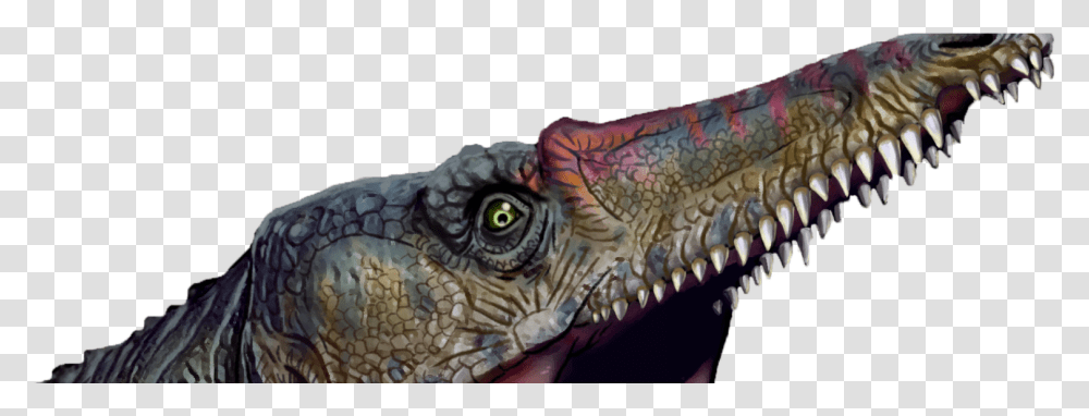 Lesothosaurus, Dinosaur, Reptile, Animal, T-Rex Transparent Png