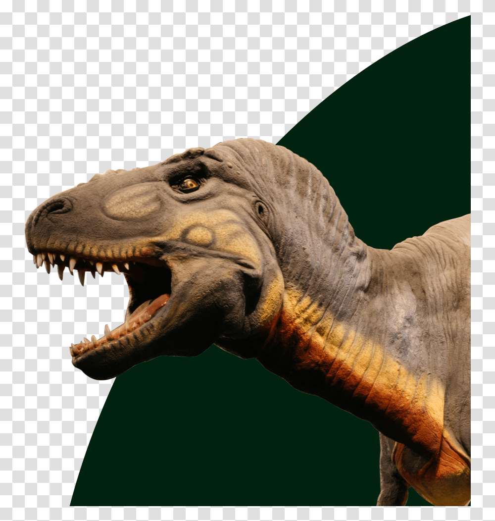 Lesothosaurus, T-Rex, Dinosaur, Reptile, Animal Transparent Png