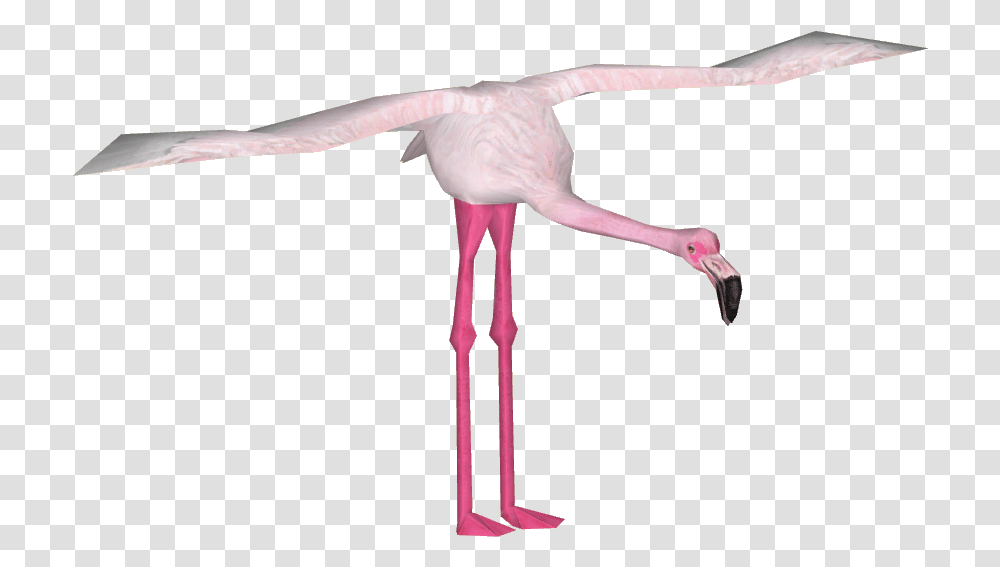 Lesser Flamingo Download Spoonbill, Bird, Animal, Person, Human Transparent Png