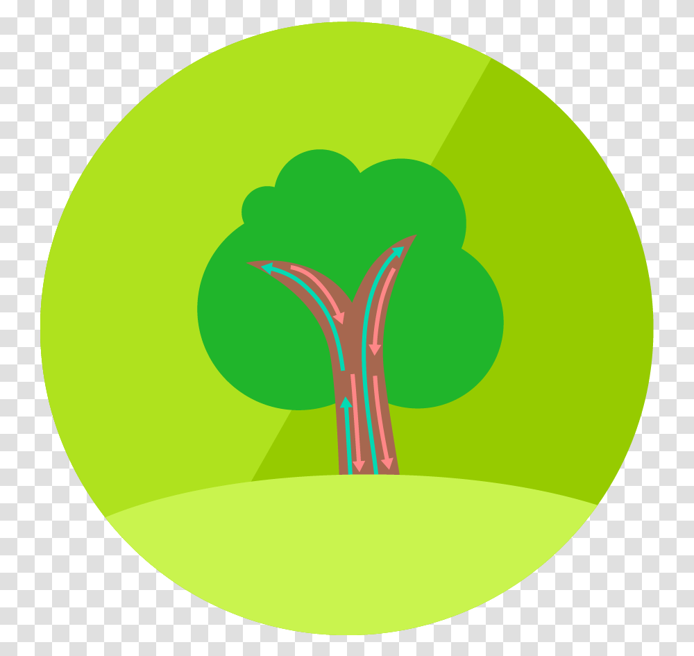 Lesson Icon Vertical, Tennis Ball, Plant, Light, Green Transparent Png