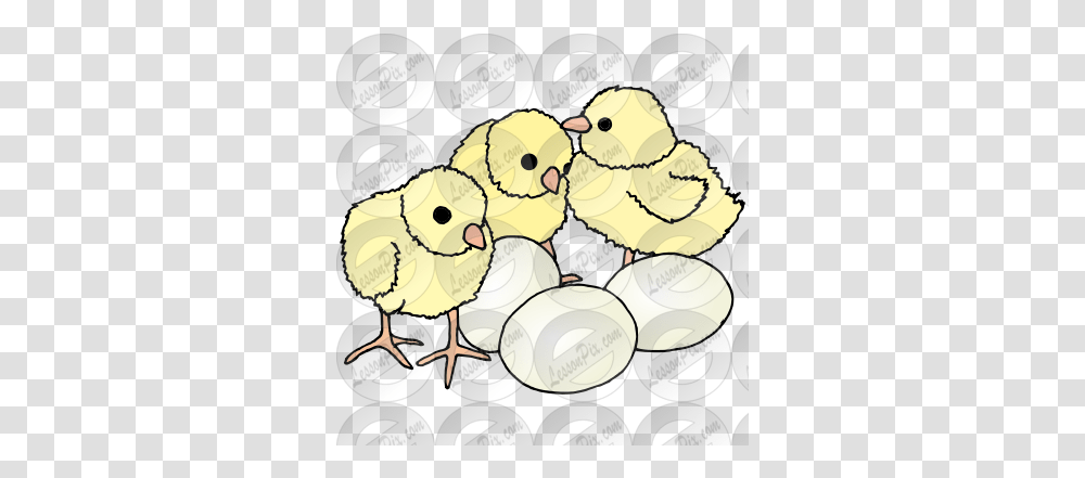 Lessonpix Mobile Chicken, Bird, Animal, Poultry, Fowl Transparent Png