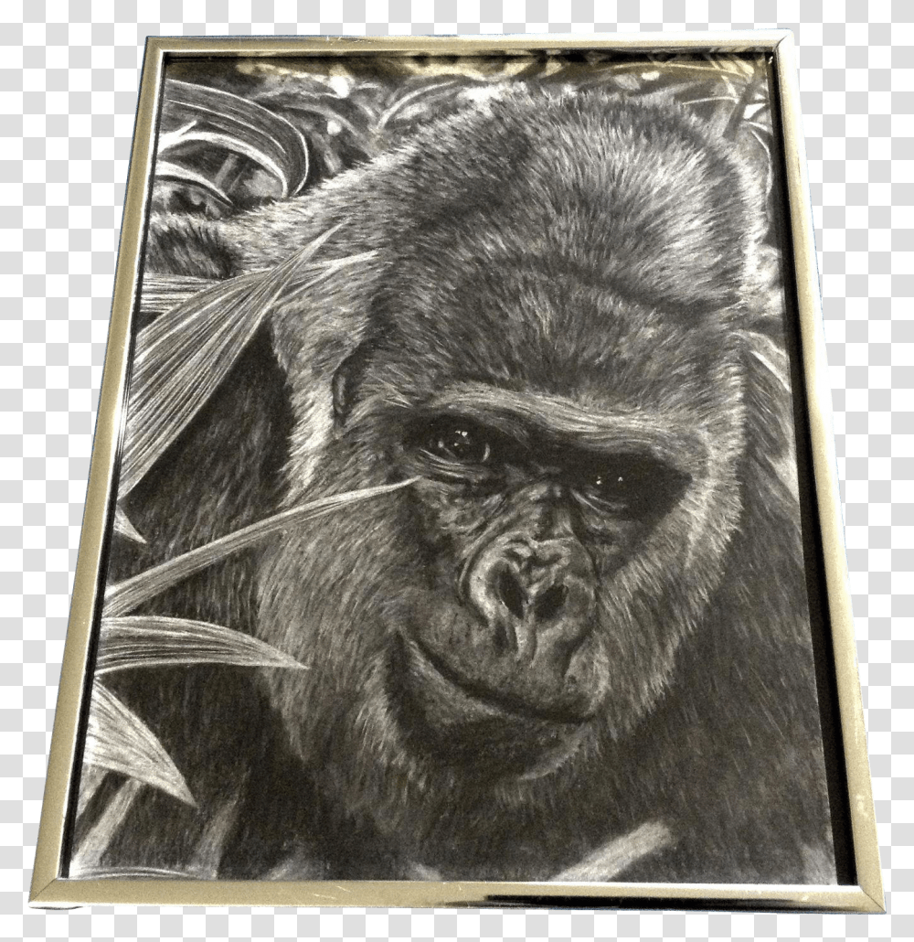 Lessonpix Mobile Clip Art, Ape, Wildlife, Mammal, Animal Transparent Png