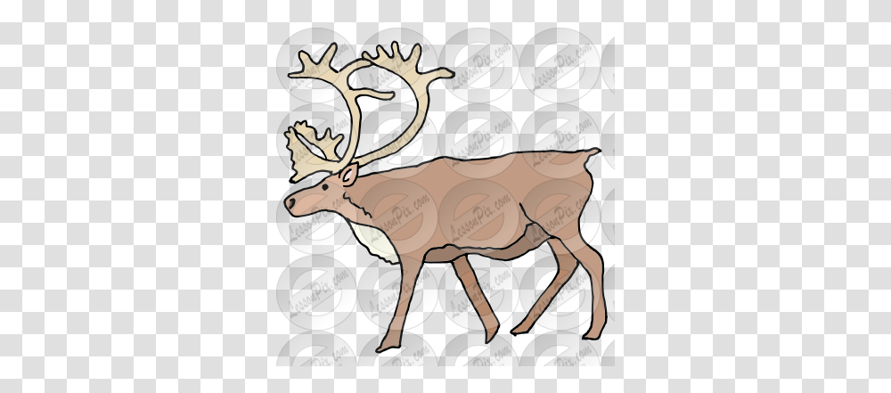 Lessonpix Mobile Elk, Deer, Wildlife, Mammal, Animal Transparent Png