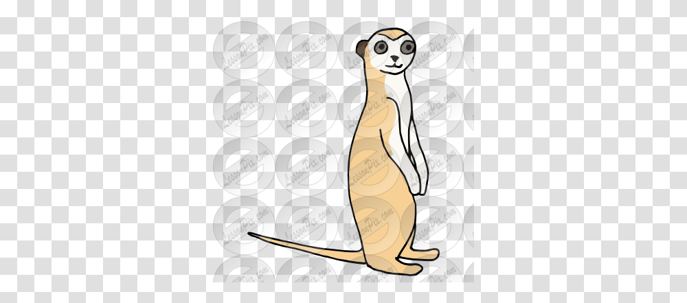Lessonpix Mobile Meerkat, Wildlife, Animal, Mammal, Weasel Transparent Png