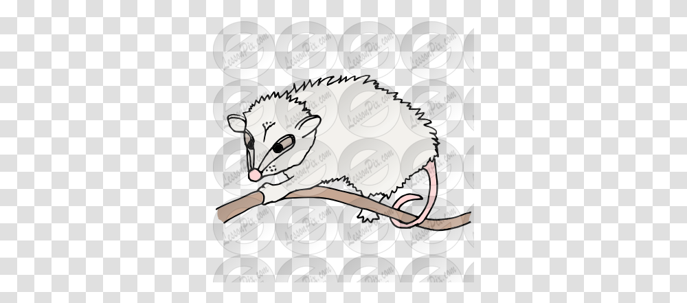 Lessonpix Mobile Opossum, Animal, Mammal, Wildlife, Arctic Fox Transparent Png