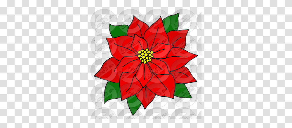 Lessonpix Mobile Poinsettia, Plant, Dahlia, Flower, Blossom Transparent Png