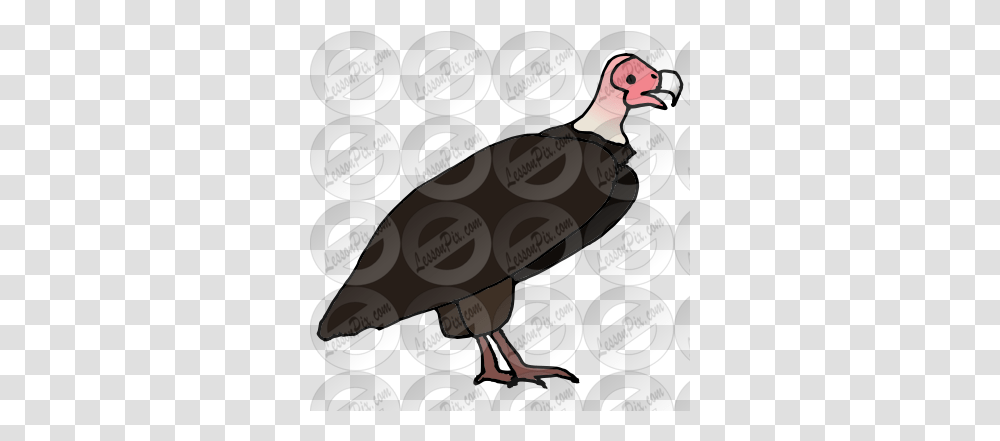 Lessonpix Mobile Turkey Vulture, Text, Bird, Animal, Advertisement Transparent Png
