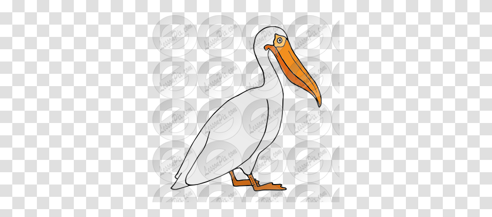 Lessonpix Mobile White Pelican, Beak, Bird, Animal, Text Transparent Png