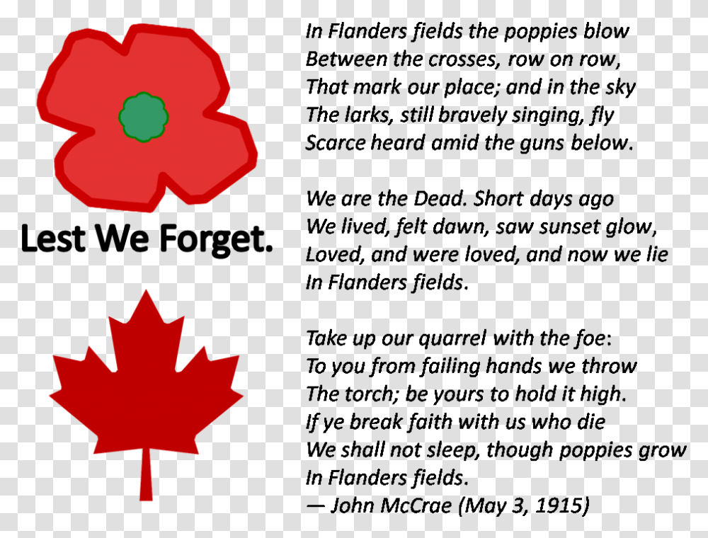Lest We Forget Canada Flag, Leaf, Plant, Tree, Maple Leaf Transparent Png