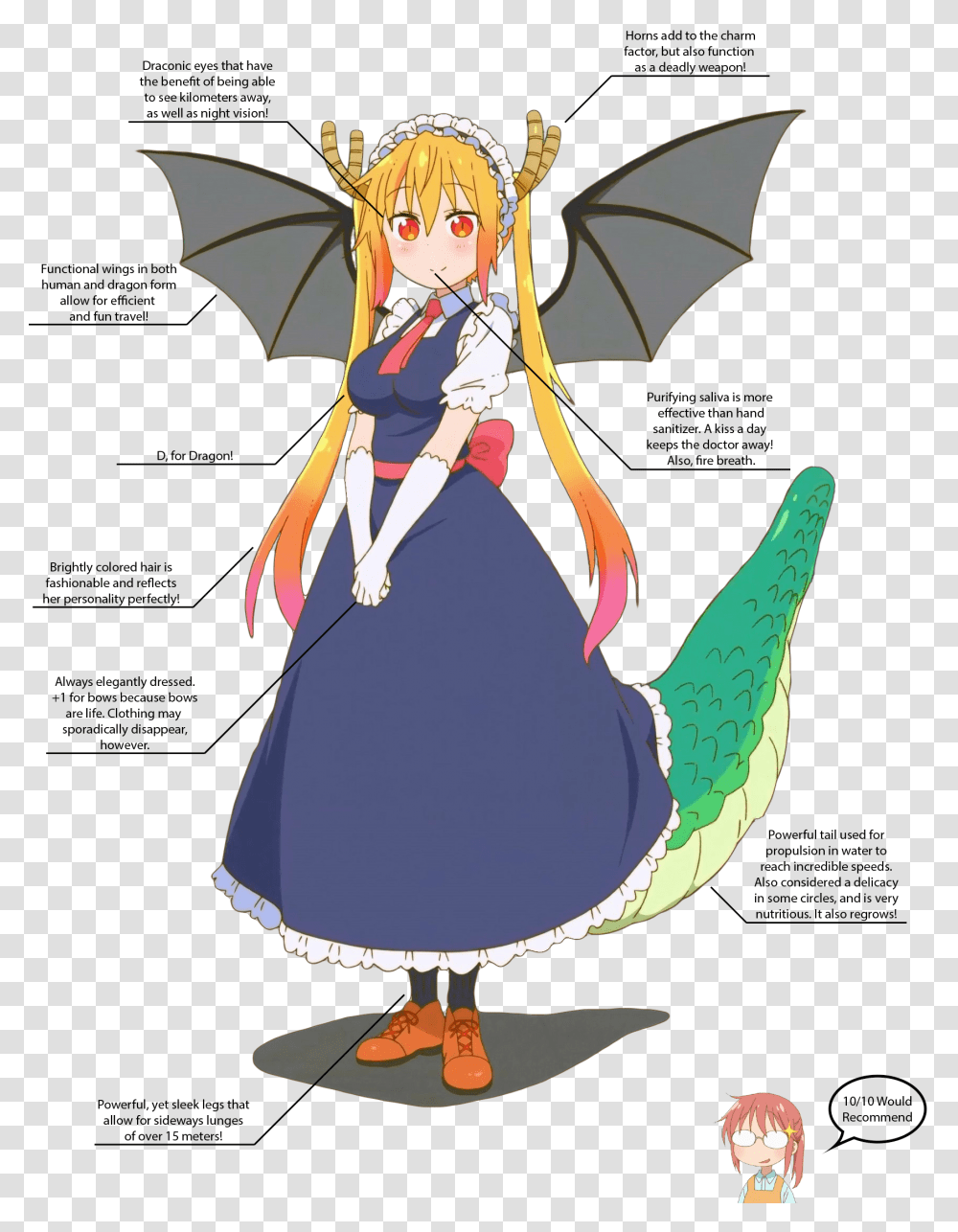 Let's Take A Look At Some Of Her Physical Attributes Flying Dragon Maid Tohru, Comics, Book, Manga, Bird Transparent Png