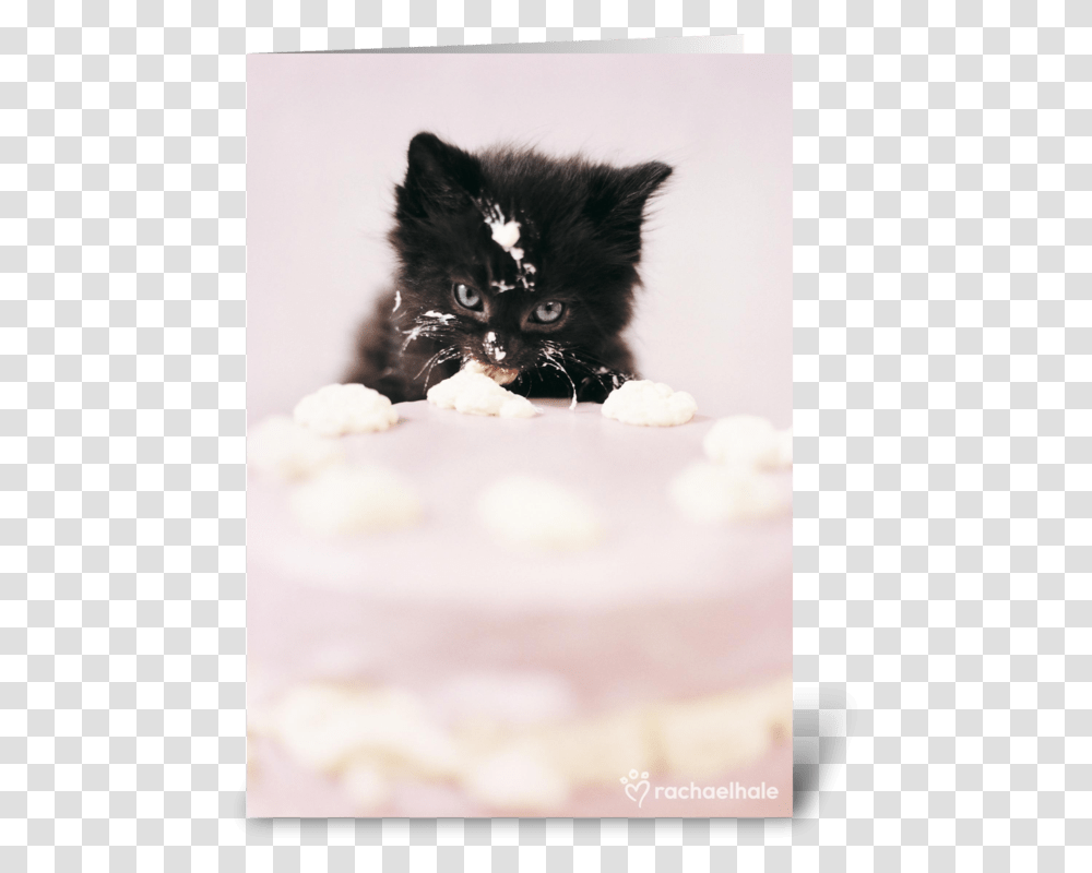 Let There Be Cake Greeting Card Black Kitten Cake, Cat, Pet, Mammal, Animal Transparent Png