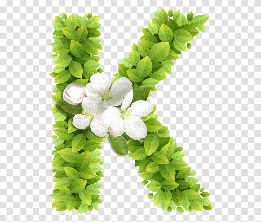 Letra Decoradas Con Flores K, Plant, Flower, Blossom, Geranium Transparent Png
