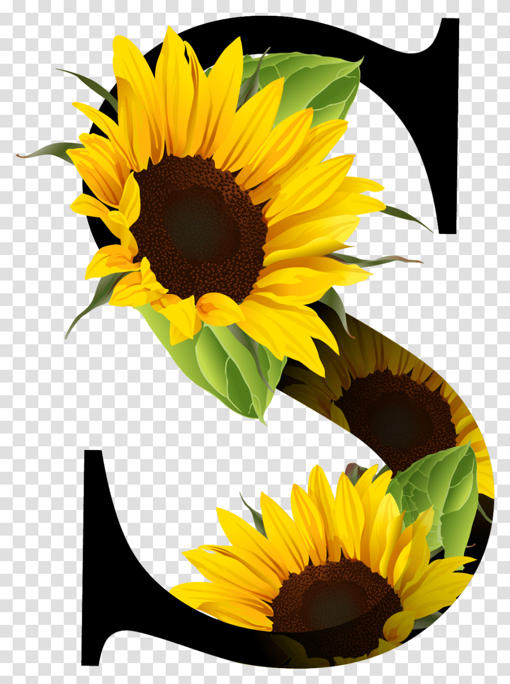 Letra S Con Girasoles, Plant, Flower, Blossom, Sunflower Transparent Png