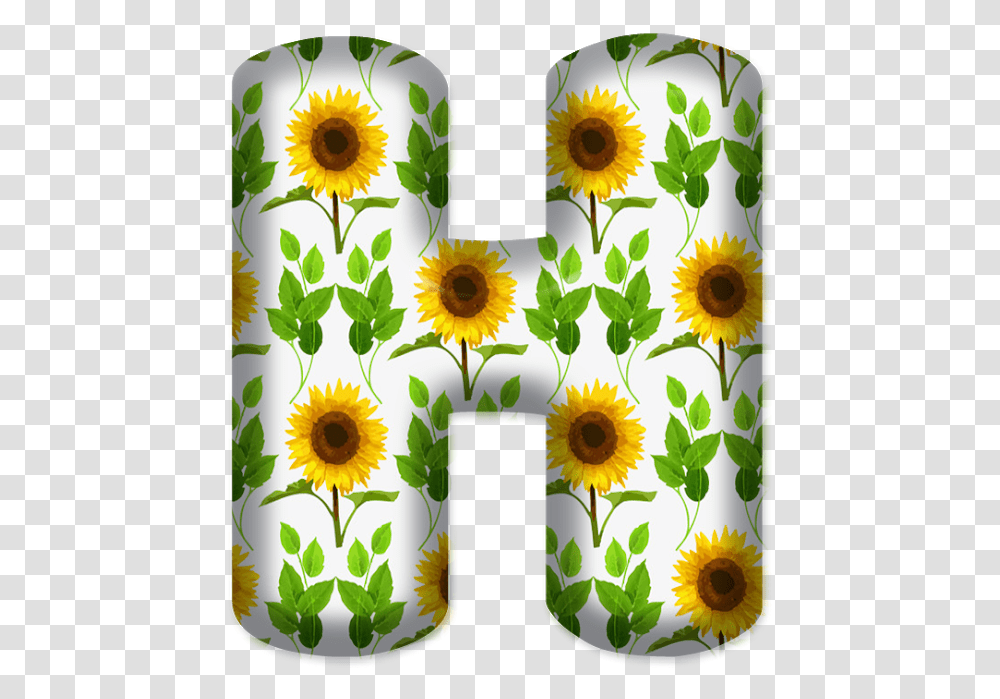 Letras Com Girassol, Plant, Flower, Blossom, Sunflower Transparent Png