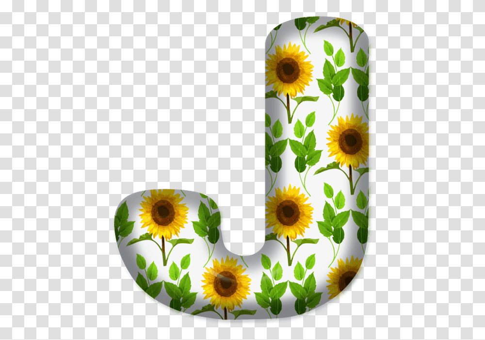 Letras Com Girassol, Plant, Sunflower, Blossom, Daisy Transparent Png