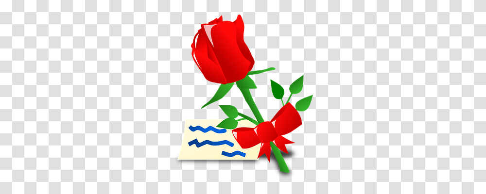 Letter Emotion, Rose, Flower, Plant Transparent Png
