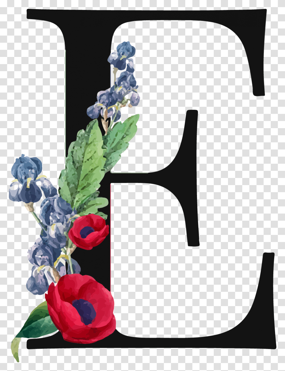 Letter E Royalty Free Image Pierre Joseph Redoute, Plant, Flower, Vase, Jar Transparent Png