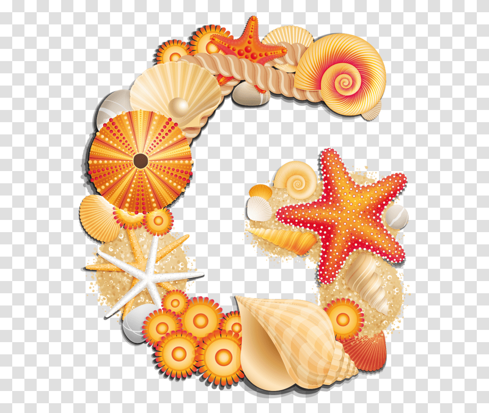 Letter G Abc By The Sheshore Seashell Clipart, Sea Life, Animal, Invertebrate, Clam Transparent Png