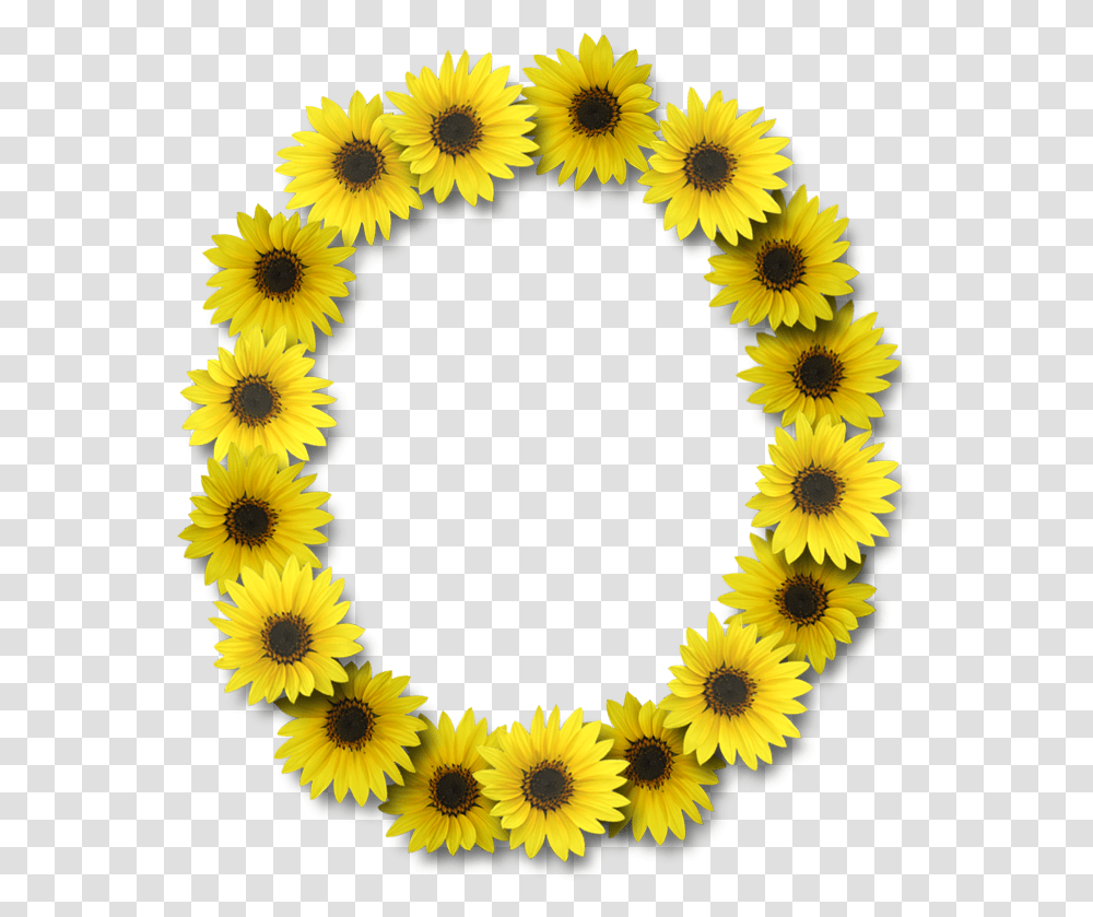 Letter G With Sunflower, Plant, Blossom, Rug Transparent Png