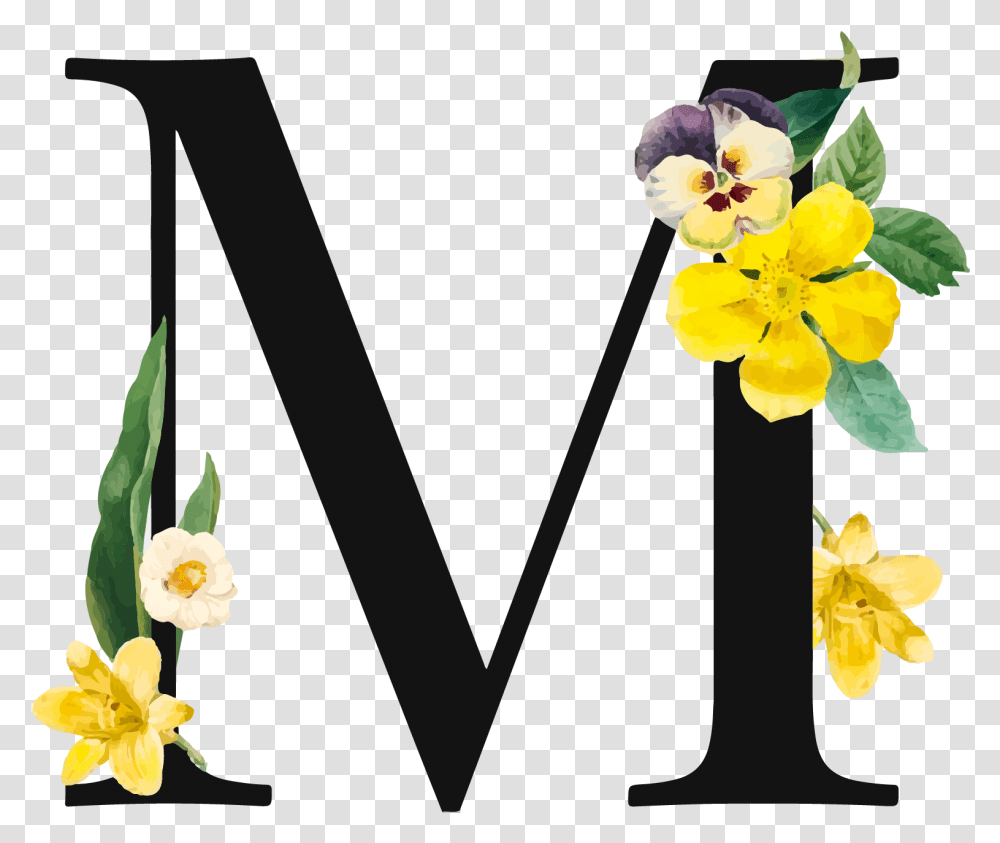 Letter M Royalty Yellow Flower Letter M, Plant, Blossom, Daffodil, Petal Transparent Png