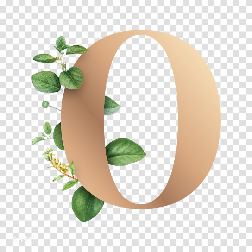 Letter O, Alphabet, Potted Plant, Vase, Jar Transparent Png