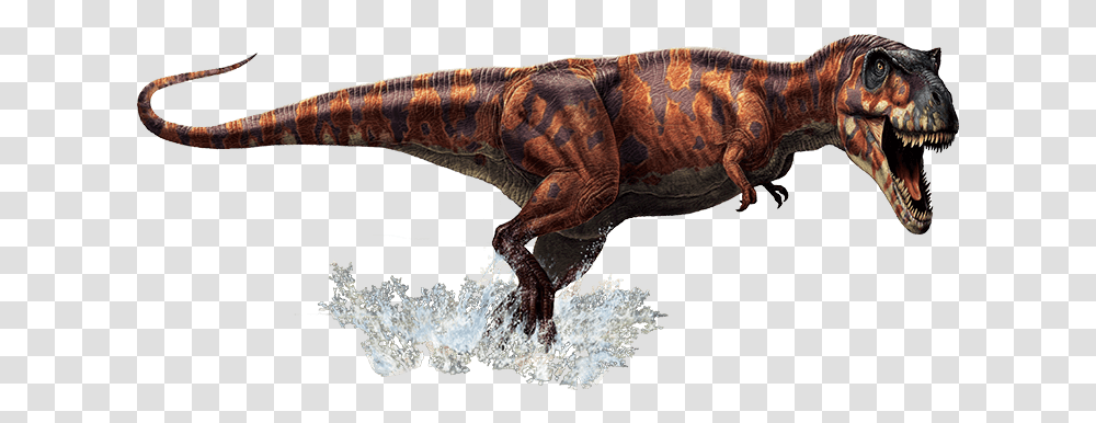 Letter Predator Letter Pretdor, Dinosaur, Reptile, Animal, T-Rex Transparent Png