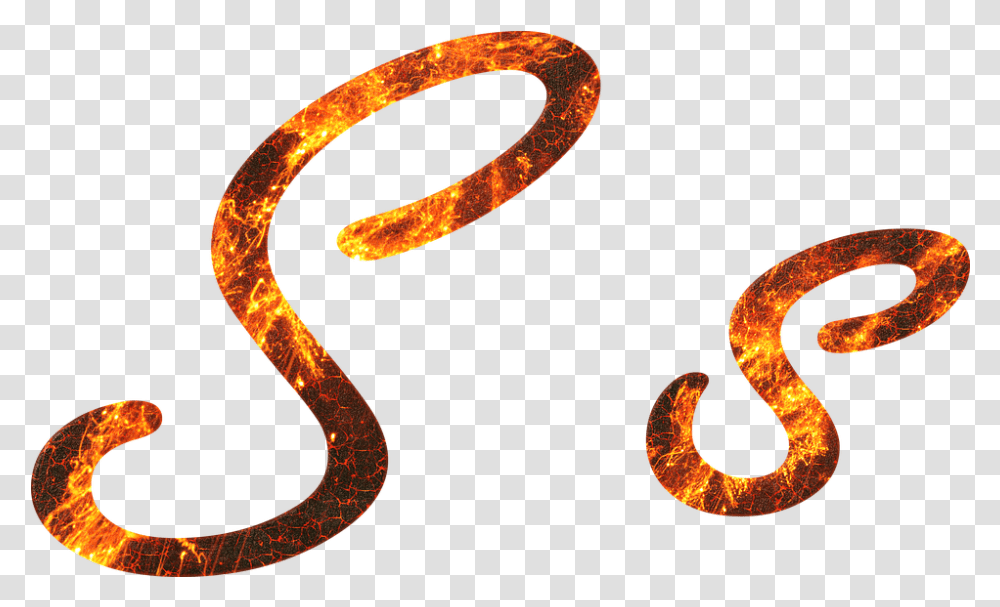 Letter S Fire Different Types Of Letter S, Animal, Reptile, Snake, Sea Life Transparent Png