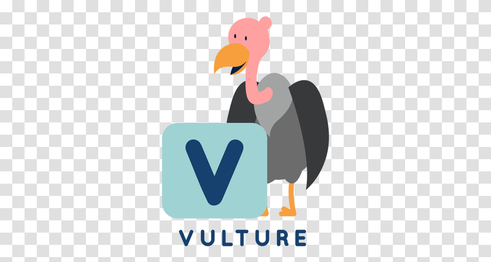 Letter V Vulture Alphabet Language, Bird, Animal, Beak, Stork Transparent Png