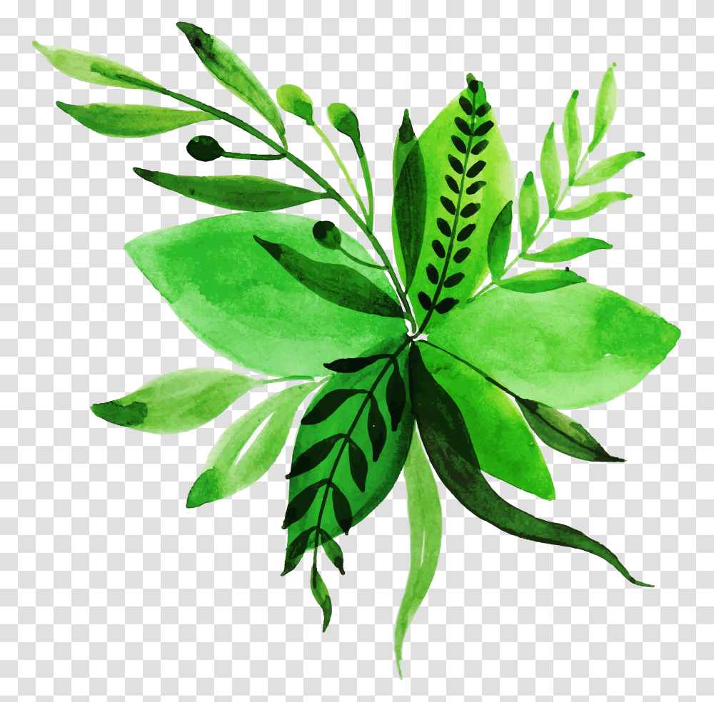 Letter X Watercolor Leaves Background, Leaf, Plant, Green, Vase Transparent Png