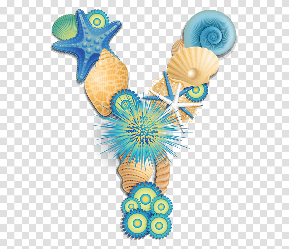 Letter Y With Shells, Sea Life, Animal, Invertebrate, Seashell Transparent Png