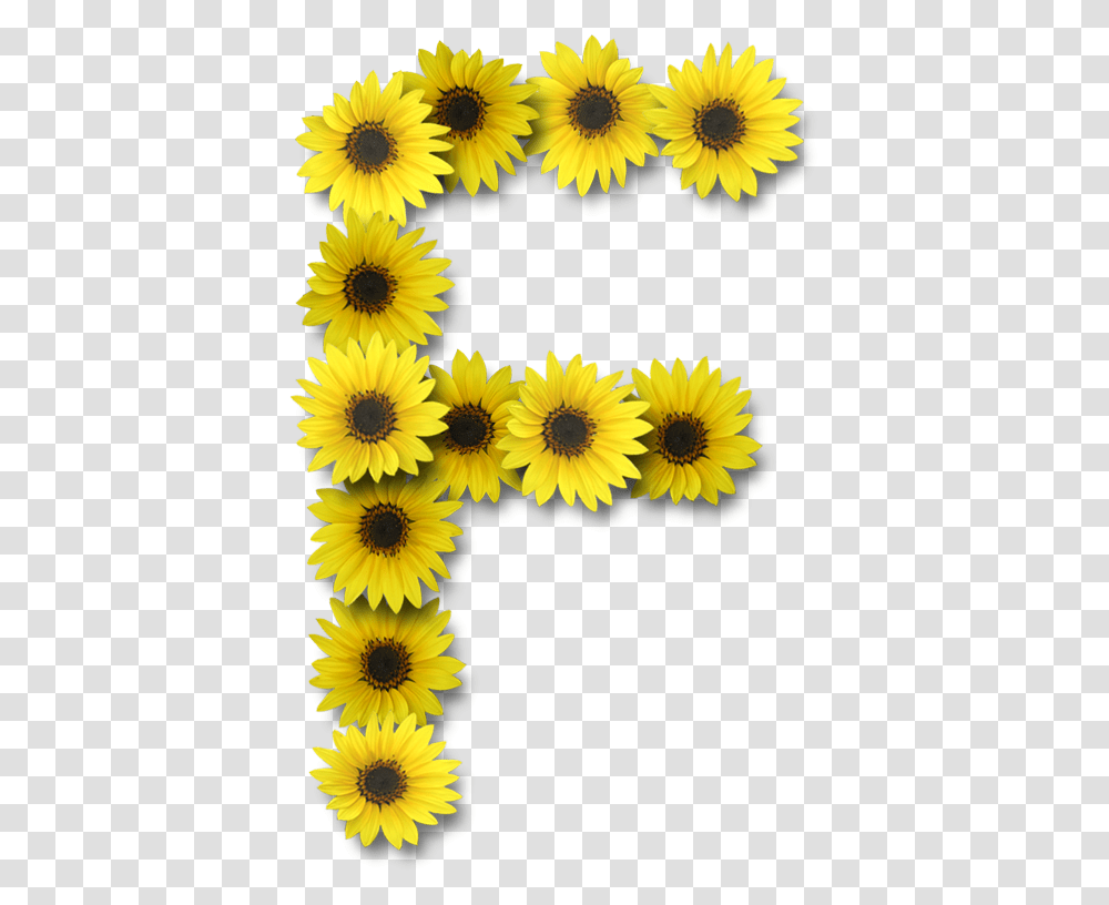 Lettering Alphabet Sunflower Wallpaper Letter E Sunflower, Plant, Blossom, Daisy, Daisies Transparent Png