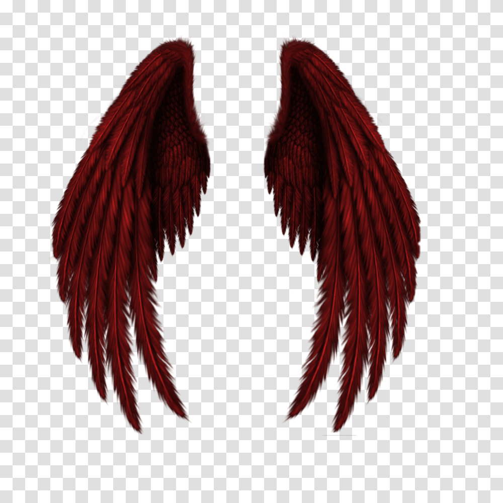 Letters Clipart Wing Free For Red Angel Wings, Mouth, Bird, Animal, Hair Transparent Png
