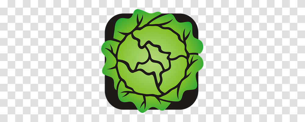 Lettuce Food, Painting, Plant Transparent Png