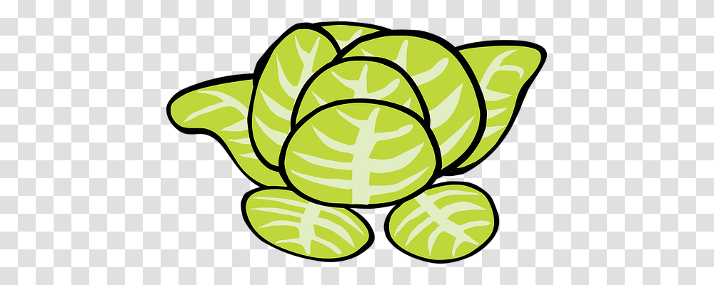 Lettuce Food, Plant, Vegetable, Cabbage Transparent Png