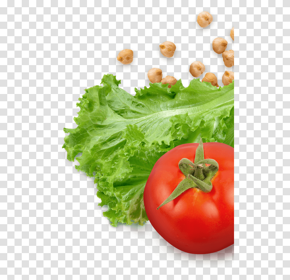 Lettuce And Tomatoes Lettuce And Tomato, Plant, Vegetable, Food, Egg Transparent Png