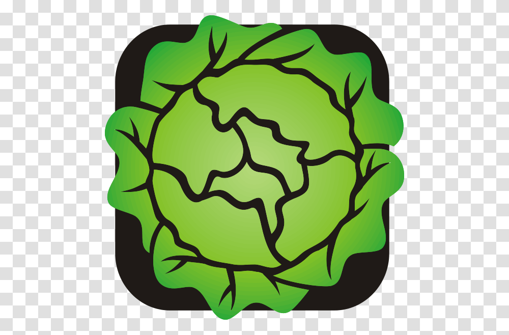 Lettuce Clip Art, Plant, Food, Vegetable, Cauliflower Transparent Png