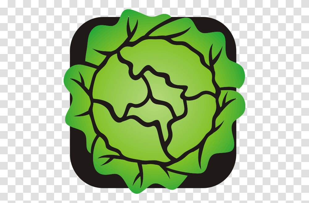 Lettuce Clip Art, Plant, Food, Vegetable, Cauliflower Transparent Png