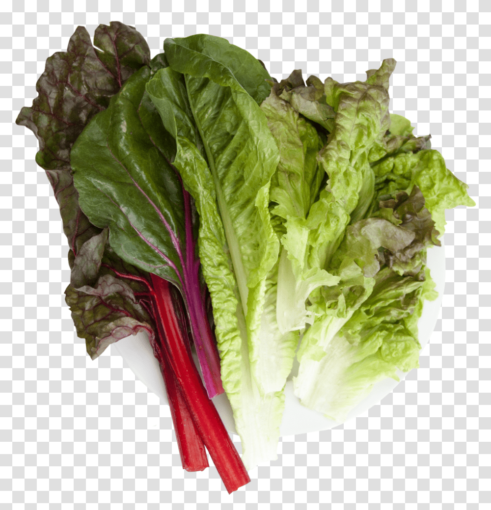 Lettuce Clipart Collard Greens Chard, Plant, Vegetable, Food, Produce Transparent Png