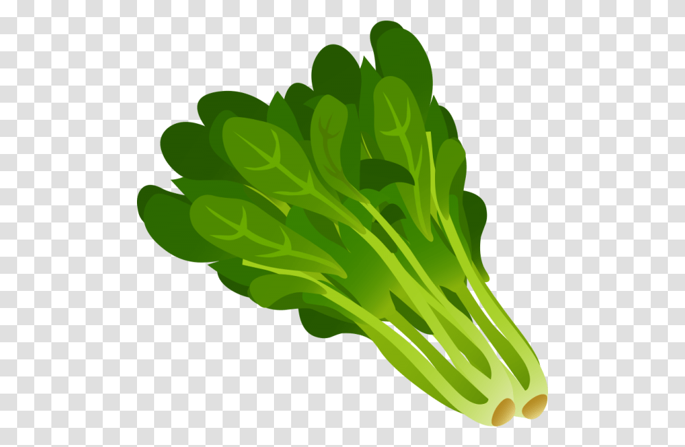 Lettuce Clipart Nice Clip Art, Plant, Vegetable, Food, Spinach Transparent Png