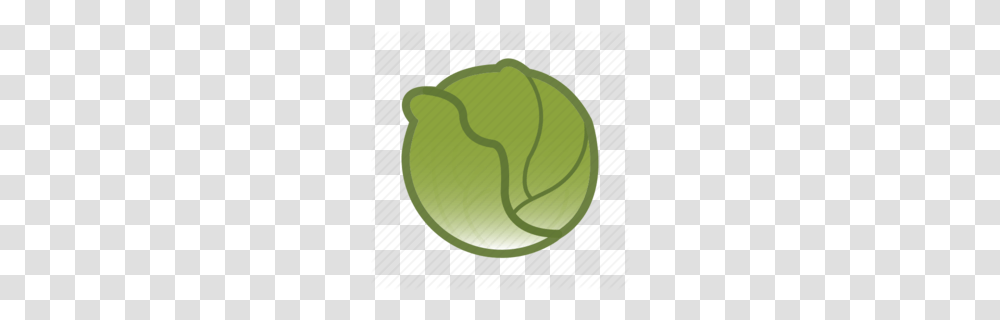 Lettuce Clipart, Plant, Tennis Ball, Sport, Sports Transparent Png