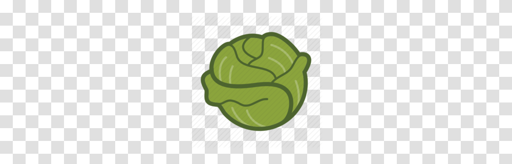 Lettuce Clipart, Plant, Vegetable, Food, Produce Transparent Png