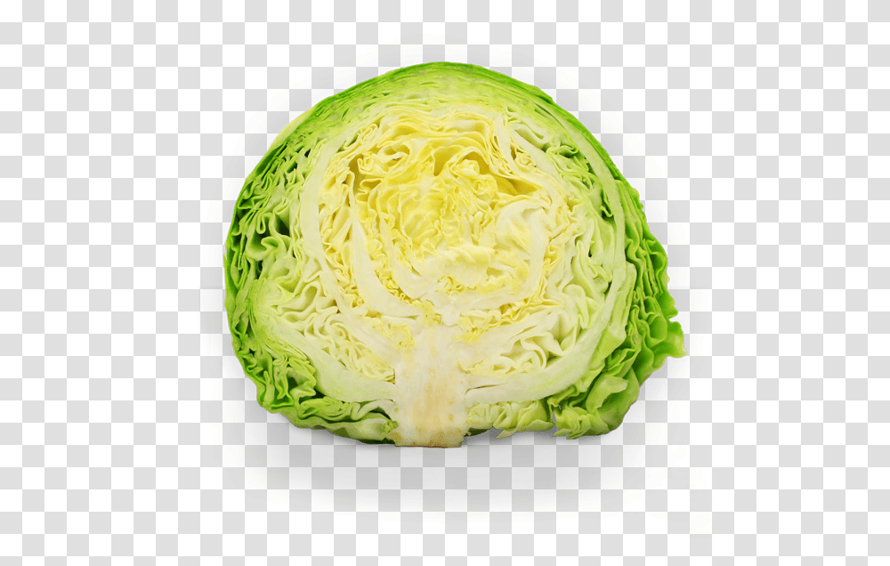 Lettuce Clipart Sauerkraut Repolho Vegetal, Plant, Vegetable, Food, Cabbage Transparent Png