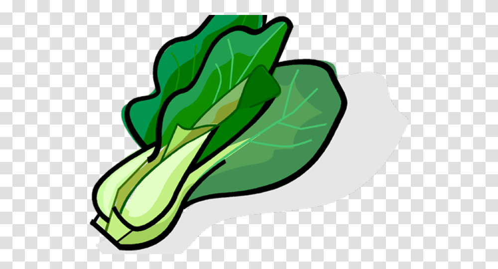 Lettuce Clipart Sawi, Plant, Vegetable, Food, Spinach Transparent Png