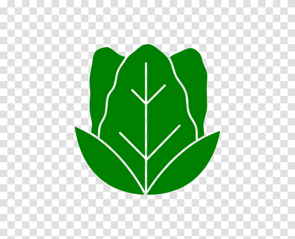 Lettuce Free Icons Easy To Download And Use, Leaf, Plant, Green, Stencil Transparent Png